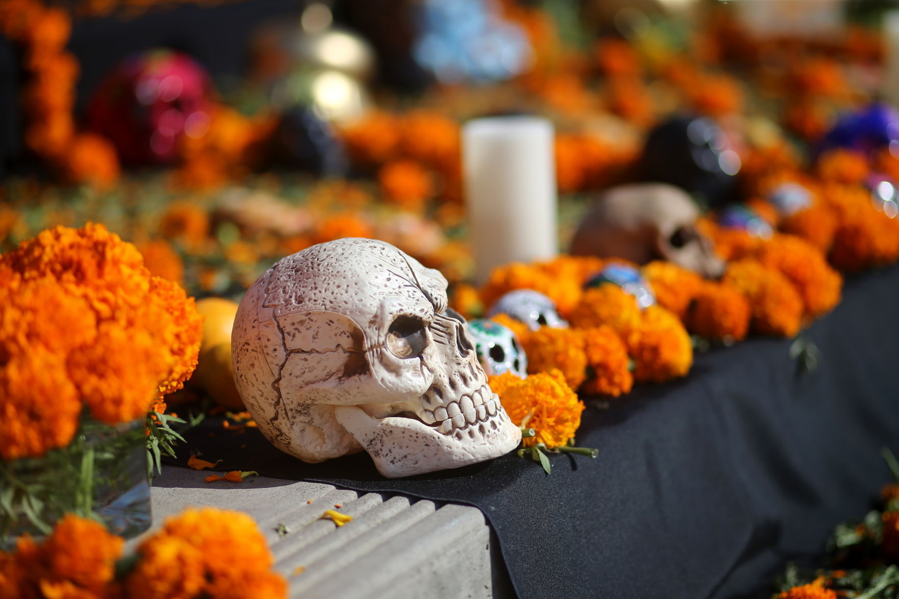 Día de Los Muertos 2020 in Napa